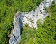 Vogelherd (Niederstotzingen) Vogelherd (Niederstotzingen)