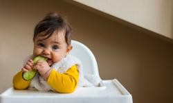 Hier ist ein Bild von einem Kleinkind zu sehen: Das Kleinkind hält Gemüse in der Hand.