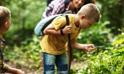 Das Foto zeigt einen kleinen Jungen im Wald, der mit einer Lupe ein Blatt untersucht.