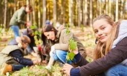 Hier ist ein Foto von mehreren Kindern und Jugendlichen im Wald zu sehen.