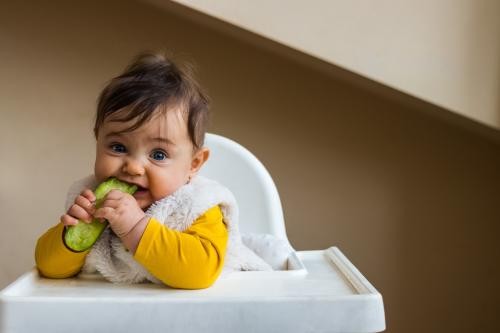Hier ist ein Foto von einem Kleinkind in einem Kinderstuhl zu sehen. Das Kleinkind hält ein Stück Gemüse in der Hand.