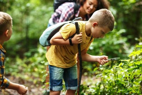 Broschüre des "Wald Erleben"-Programms 2025