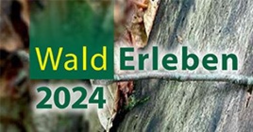 Grafik Wald Erleben 2023