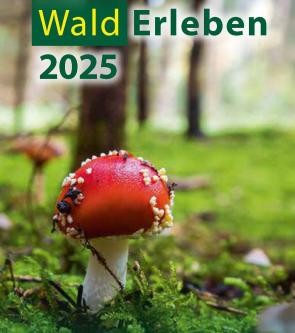 Broschüre des "Wald Erleben"-Programms 2025
