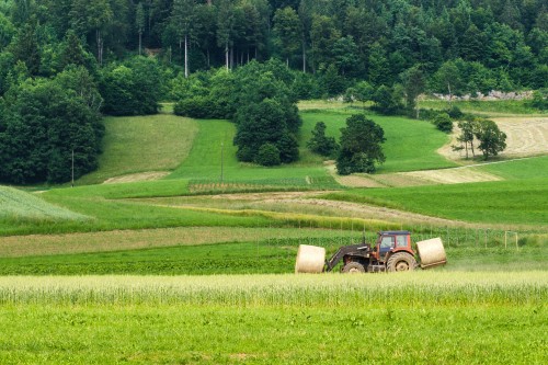 Hier ist ein Foto von einer großen Wiese zu sehen. Auf der Wiese fährt ein Traktor und hat zwei Heuballen drauf.
