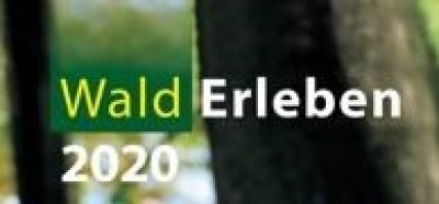 Wald Erleben 2020 Grafik Wald Erleben 2020